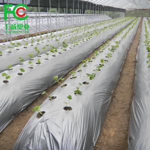 Film plastique agricole pour paillage de culture d'ananas - Product Image 3