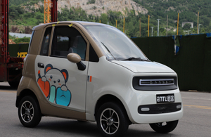 Scooter électrique chinois 45 km/h avec cabine, véhicule électrique à quatre roues, mini voitures électriques pour adultes, moteur automatique 3000W - Product Image 5