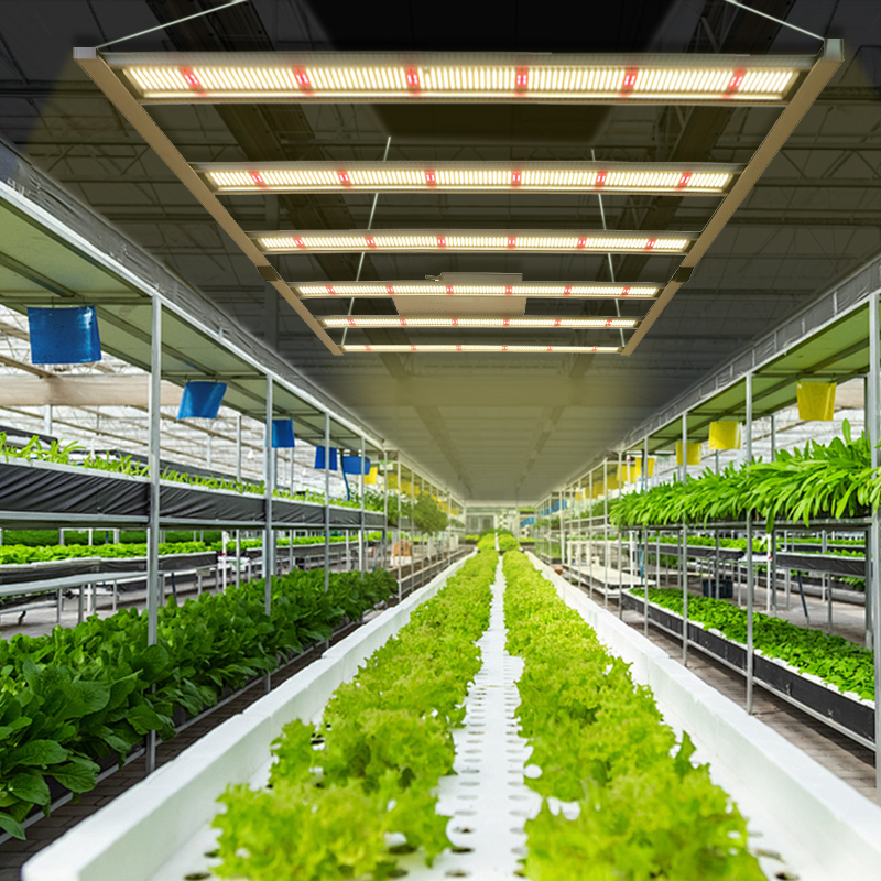 XLY Best Lm301h Evo Grow Lights