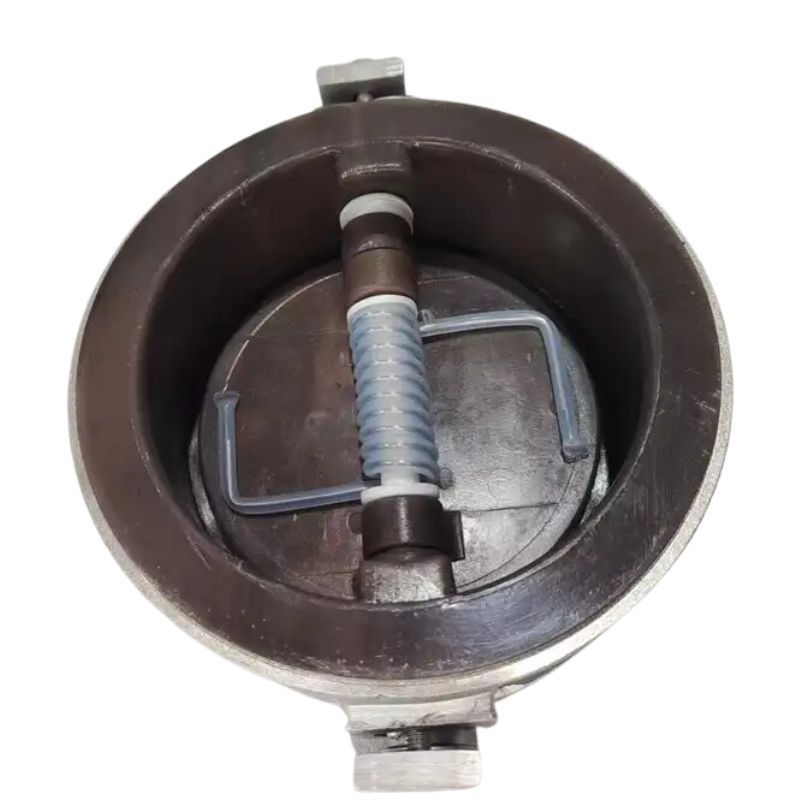 Check Valve DN150 SW Check VALVE