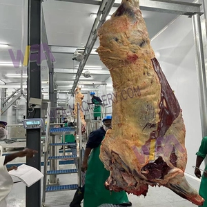 Hiện đại gia súc giết mổ nhà máy bò giết mổ dây chuyền chế biến Lò mổ máy cho Lò mổ - Product Image 1