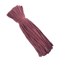 5MM 100 m/rouleau extérieur Paracord équipement de survie en corde Durable pour les activités de plein air ou le bricolage