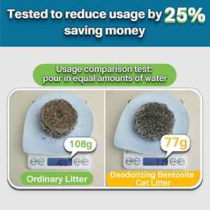 Litière pour chat à faible teneur en poussière (99 %) avec charbon actif pour chat de tous âges - OEM/ODM disponible - Product Image 6