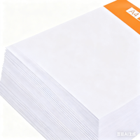 Papier pour imprimante SvetoCopy A4 70/80 g/m² Finition lisse 96 % de luminosité Anti-statique Ramette de 500 feuilles 100 % pâte de bois vierge Qualité supérieure