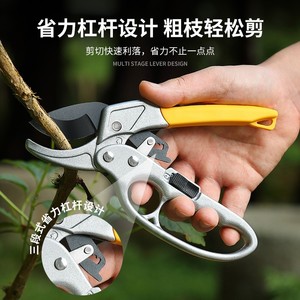 Tijeras de podar de acero inoxidable con hoja de 55 mm y longitud de 200 mm para árboles frutales y jardines con poleas segmentadas - Product Image 4