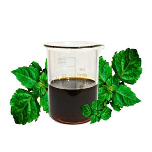 Aceite de Pachulí Natural de Alta Calidad con Aroma Amaderado y Herbal para Perfumería - Product Image 1