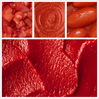 Professionele Tomatenpuree Maken Machine Verwerkingslijn Tomatenpulp Verwerkingsapparatuur