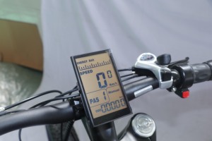 विंटेज विशाल बिजली साइकिल mountainbike चीन में किए गए 300 वाट - Product Image 5