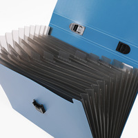 Carpeta de Archivos de Acordeón de PP de 13 Compartimentos, Estilo Ejecutivo, Color Sólido, Tamaño A4, Portátil, Multicapa, para Documentos Estudiantiles