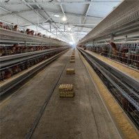 Cage à poulets empilée de type H, équipement d'élevage avicole entièrement automatique avec système d'alimentation, de collecte des œufs et d'évacuation du fumier