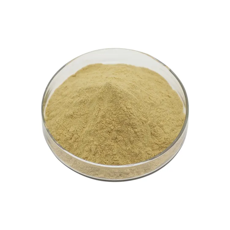 Pincre- extracto de hoja de oliva a granel, oleuropeina 70% 40%, hidroxitirosol en polvo