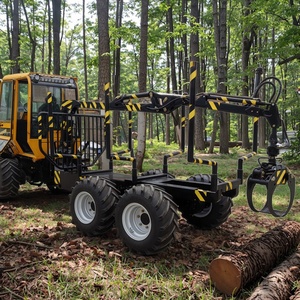 <span class=keywords><strong>Remolque</strong></span> <span class=keywords><strong>Forestal</strong></span> con Garra HAIJU, Capacidad 4000-5000 kg, Precio Directo de Fábrica - Product Image 2