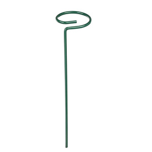 Dropshipping 60cm Single Stem Plant Stakes Stainless Steel <strong>Flower</strong> <strong>Support</strong> Rings for Amaryllis Orchid Lily Rose and Tomatoes - Product Image 1