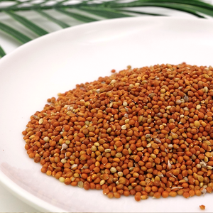 Mélange de <span class=keywords><strong>millet</strong></span> rouge et de <span class=keywords><strong>millet</strong></span> broomcorn à prix de gros pour l'alimentation des perroquets et des canaris - Product Image 6