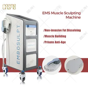 Most Popular 5600w 14 tesla EMS Slimming Machine Building Muscle Sculpting Machine For Slimming