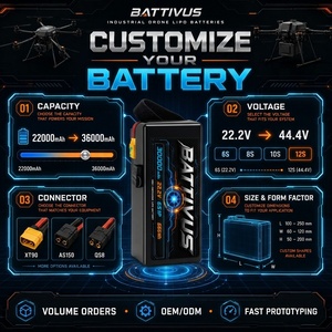 Batterie polymère personnalisée grande capacité 30Ah 22Ah 23Ah 12S, longue autonomie, pour drone UAV à charge lourde, 14S 51.8V 30000mAh - Product Image 1