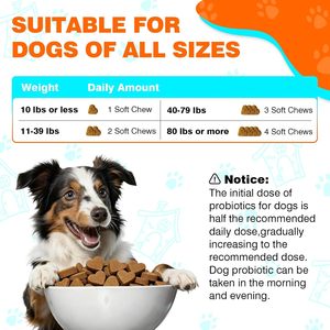 Probiotiques pour chiens OEM ODM sous forme de friandises molles pour le soutien immunitaire et la santé digestive, absorption rapide, toutes races et étapes de vie - Product Image 6