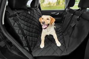 100% wasserdicht kratz fest rutsch fester Hund Autos itz bezug Haustier Auto Hängematte 600D Oxford Hoch leistungs sitz bezug für Hunde - Product Image 2