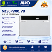 Modul LCD TFT AUO M190PW01 V8 19 Inci 1440x900 WXGA 250 Nits 30 Pin LVDS untuk Monitor Desktop
