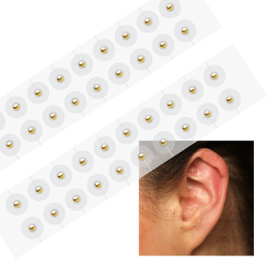 Bulut ejderha 24K altın kulak tohumları Auricular nokta etiket kulak akupunktur noktası terapi Earseeds ile şeffaf bant - Product Image 2