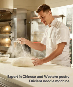 Impastatrice Elettrica Automatica di Alta Qualità da <span class=keywords><strong>25</strong></span> kg per Impasti Commerciali di Torte e Alimenti - Product Image 4