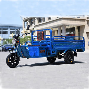 OEM kargo sepeda roda tiga listrik, poros belakang ganda tugas berat tiga roda listrik sepeda - Product Image 2