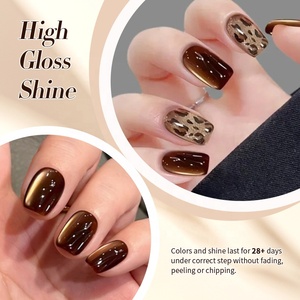 BORN PRETTY HEMA TPO FREE 10ml Gel à ongles magnétique œil de chat rouge brun ambre automne, paillettes scintillantes, gel UV à faire tremper, vernis à ongles - Product Image 5