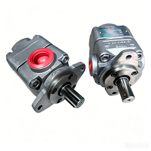 QX QX21 QX41 QX82 QX23 QX33 QX43 QX53 QX63 QX83 QX ปั๊มเกียร์ภายในไฮดรอลิกแรงดันสูง QX21-012R112-Y ปั๊มน้ำมัน - Product Image 2