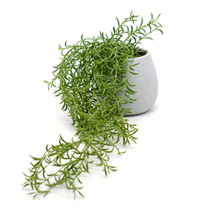 Planta Colgante Artificial de Hierba Crescent en Maceta de Cemento, <span class=keywords><strong>Gloria</strong></span>, Planta Colgante Artificial para Decoración del Hogar y Oficina - Product Image 1