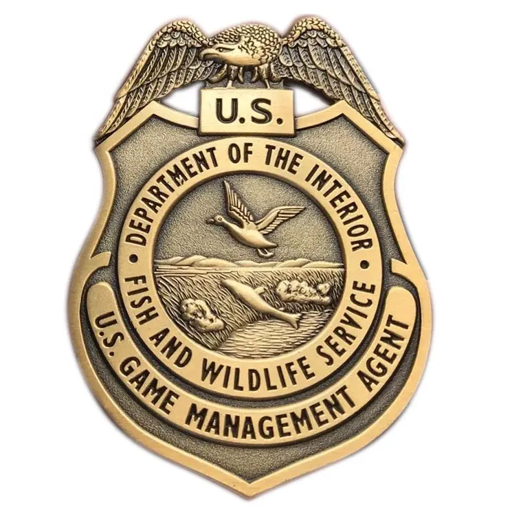 Insignias guardia águila oficial seguridad uniforme Pin insignia 3D recuerdo AGENTE DE EE. UU. Metal personalizado hecho a medida arte popular personalizado