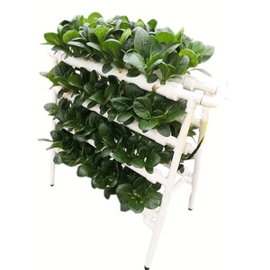 Sistema de Cultivo Vertical Hidropónico Interior para Vegetales en Venta - Product Image 4