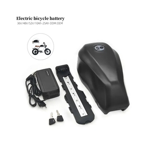 48V 20Ah pin <span class=keywords><strong>Lithium</strong></span> ion Xe đạp điện <span class=keywords><strong>lithium</strong></span> 18650 21700 di động có thể sạc lại Ebike Pin - Product Image 1