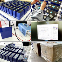 CATL 8000 Cycle 314Ah MB31 3.2v LiFePO4 48V Baterai Prisma untuk Energi Surya Rumah dan Jaringan Listrik dengan Garansi 5 Tahun