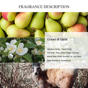AROMA ÚNICO Aceite de Perfume Ocean Di <span class=keywords><strong>Gioia</strong></span>, Perfume Francés con Notas Verdes, Fragancias de Marca Concentradas, Agua de Jazmín de Lujo - Product Image 2