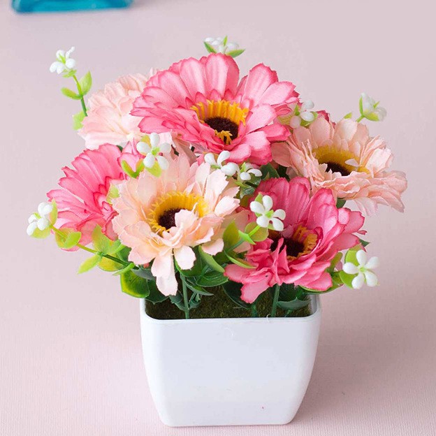 Chrysanthème étoiles roses (avec pot)