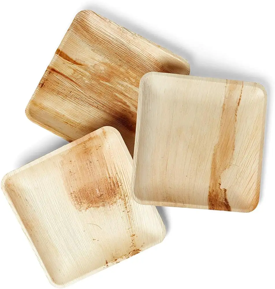 10 Inch Square palm leaf disposable plates for party Compostable Eco Friendly palm leaf plates set biodegradable plate