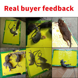 Super <b>Strong</b> Extra Large Mouse Board Genuine Bonding Household Control Trap Solid State Special Artifact for Catching Mice Rats - Product Image 6