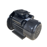 Moteur asynchrone triphasé YL-801-4 0,55 kW 0,75 CV B35 1400 tr/min 50 Hz, moteur AC à carter en fonte pour l'automatisation industrielle 12