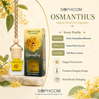 Parfum pour voiture 8ml, flacon en verre avec bouchon en bois, diffuseur d'air suspendu pour voiture, parfum personnalisé, OEM ODM, fournisseur BSCI