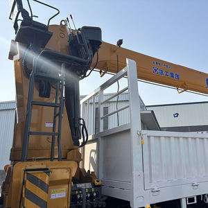 Nouveau roulement de motoréducteur pour grue de camion 6-20 tonnes, flèche de châssis, capacité de charge nominale 8-16 tonnes, moteur et boîte de vitesses - Product Image 4