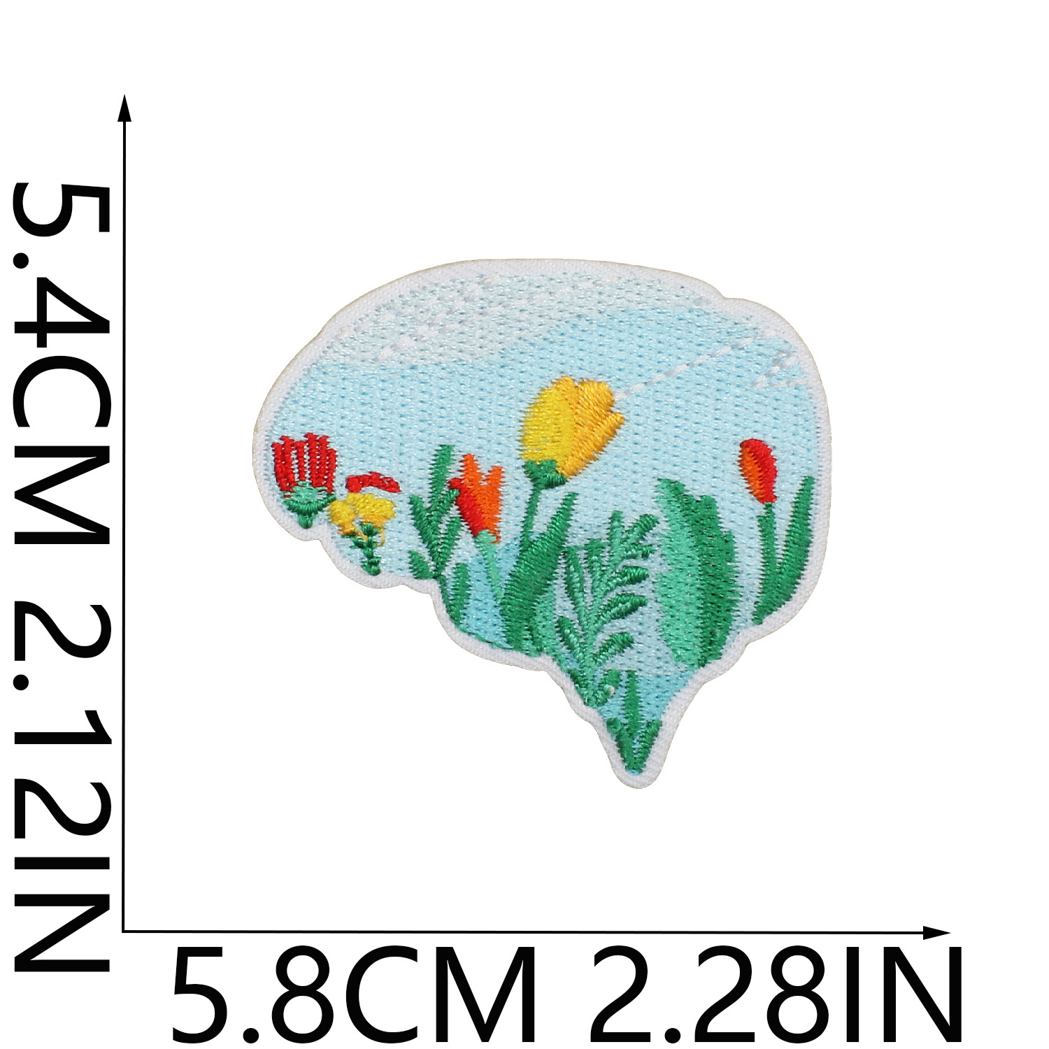 N25748