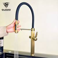 Robinet de cuisine moderne de luxe en or brossé chaud et froid en acier inoxydable avec pulvérisateur extractible et filtre
