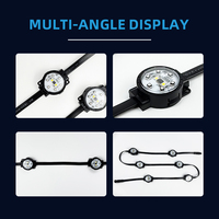 Ventes directes d'usine RGBW Programmable DMX512 LED Point Light pour les parcs d'attractions, les rues et l'éclairage extérieur des bâtiments
