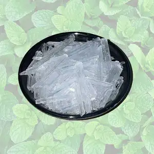 Strength Factory Discount Flavors Fragrances High Quality Menthol Crystalline 99% Peppermint Crystal L-Menthol