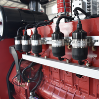 ISO certifié CE 220KW AVR parallèle stable groupe électrogène au gaz naturel générateur au propane pour divers endroits