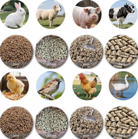 Machine à granulés multifonctionnelle pour l'alimentation animale : bétail, volailles, poulets, et autres animaux de petite taille