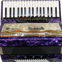 Accordéon violet 37 touches 96 basses, instrument de musique pour scène professionnelle, solo, examen, performance et pratique