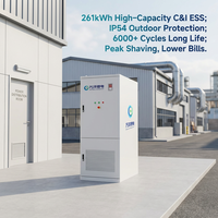Gabinete de Baterías de 261 kWh, Sistema de Almacenamiento de Energía Industrial y Comercial, Sistema de Almacenamiento de Energía de 125 kW PCS