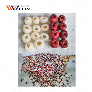 Machine à piquer le litchi automatique à économie de travail Machine à piquer le litchi Cerasus Humilis Machine à piquer le litchi - Product Image 1