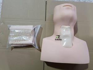 Modelo de Examen de Tiroides Humano para Ciencias Médicas, Maniquí de Inspección de Tiroides, Maniquí de Entrenamiento de Tiroides - Product Image 2